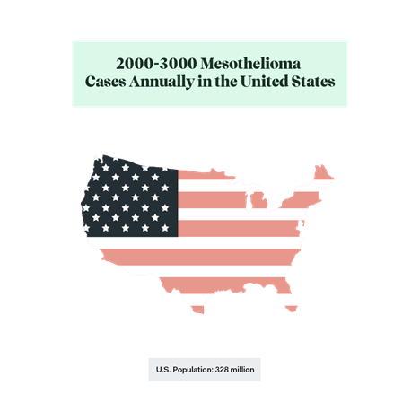 Flag US Outline: 2-3k mesothelioma cases per year out of 328M population.