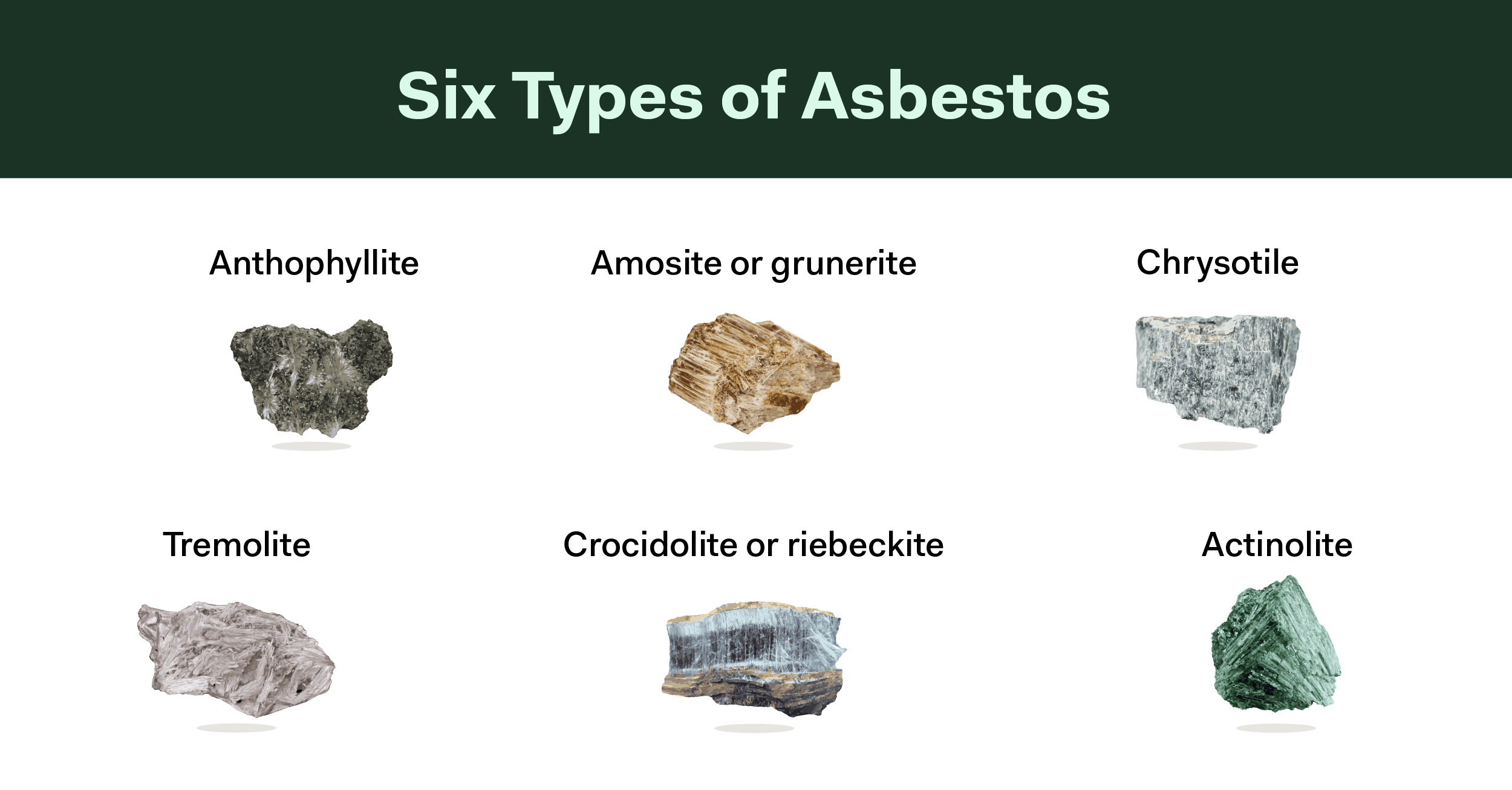 latest mesothelioma news